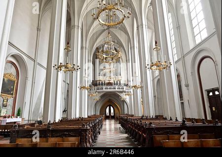 Wien, Österreich. Augustinerkirche in Wien. Ansicht des Hauptorgans Stockfoto