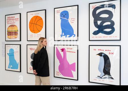 London, Großbritannien. 8. Juni 2023 Ein Mitarbeiter sieht sich Drucke in einer Vorschau von Werken in einer eigenständigen Online-Auktion an, die für Werke von David Shrigley vorgesehen ist, einschließlich Werken auf Papier, Drucke und Kombiwetten. Die Auktion findet am Phillips.com vom 7. Bis 14. Juni statt, wobei vom 10. Bis 12. Juni in den Londoner Galerien von Phillips auf dem Berkeley Square die wichtigsten Verkaufspunkte zu sehen sind. Kredit: Stephen Chung / Alamy Live News Stockfoto