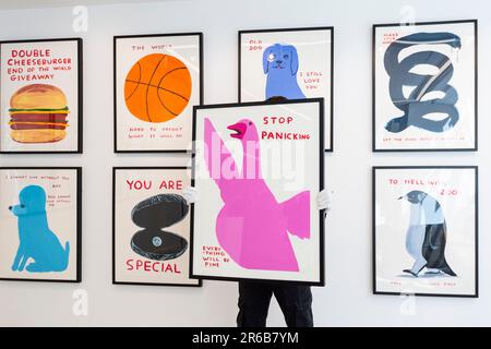 London, Großbritannien. 8. Juni 2023 Ein Techniker hängt einen Druck bei einer Vorschau von Werken in einer eigenständigen Online-Auktion für Werke von David Shrigley auf, einschließlich Arbeiten auf Papier, Drucke und Kombiwetten. Die Auktion findet am Phillips.com vom 7. Bis 14. Juni statt, wobei vom 10. Bis 12. Juni in den Londoner Galerien von Phillips auf dem Berkeley Square die wichtigsten Verkaufspunkte zu sehen sind. Kredit: Stephen Chung / Alamy Live News Stockfoto