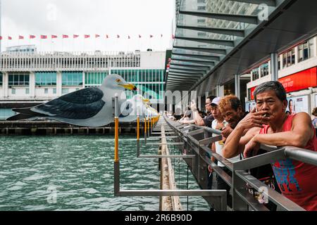 Hongkong, China. 8. Juni 2023. Eine Installationskunst von Takahito Kimura namens Seagulls by the Harbour wird am Tsim Sha Tsui Star Ferry Pier ausgestellt. (Kreditbild: © Keith Tsuji/ZUMA Press Wire) NUR REDAKTIONELLE VERWENDUNG! Nicht für den kommerziellen GEBRAUCH! Stockfoto