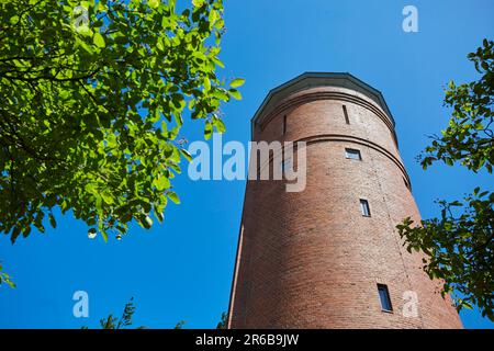 Grimmen an der Ostsee in Mecklenburg-Vorpommern Stockfoto