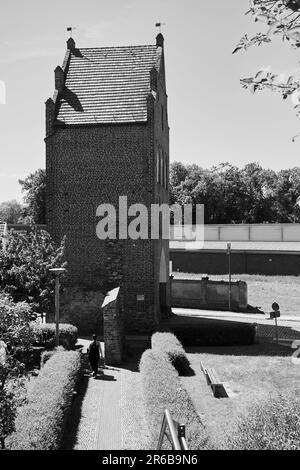 Grimmen an der Ostsee in Mecklenburg-Vorpommern Stockfoto