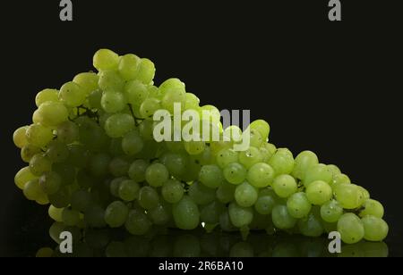 Ein Haufen grüner Trauben mit Wassertropfen auf schwarzem Hintergrund Stockfoto