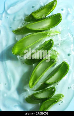 Aloe Vera hat Blätter in Gel geschnitten, um die Haut auf blauem Hintergrund zu pflegen. Natürliches organisches Aloe Vera-Kosmetikgel. Stockfoto