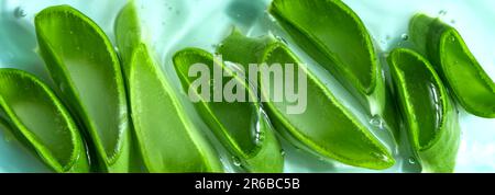 Aloe Vera hat Blätter in Gel geschnitten für die Hautpflege auf blauem Hintergrund, Nahaufnahme, Banner. Natürliches organisches Aloe Vera-Kosmetikgel. Stockfoto