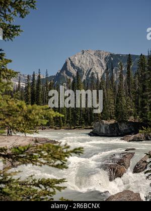 Der Kicking Horse River im Yoho-Nationalpark, British Columbia, Kanada. Stockfoto