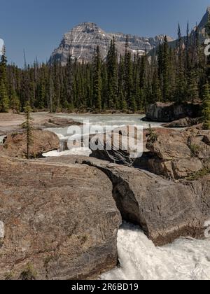 Der Kicking Horse River im Yoho-Nationalpark, British Columbia, Kanada. Stockfoto