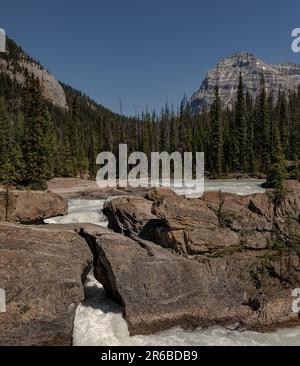 Der Kicking Horse River im Yoho-Nationalpark, British Columbia, Kanada. Stockfoto