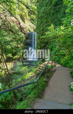 Der Silver Falls State Park im Bundesstaat Oregon bietet einen schönen Blick auf die Treppen und die Lower South Falls. Stockfoto