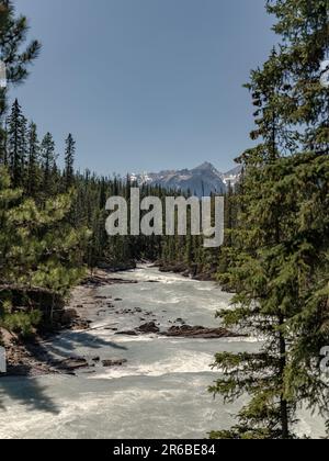 Der Kicking Horse River im Yoho-Nationalpark, British Columbia, Kanada. Stockfoto