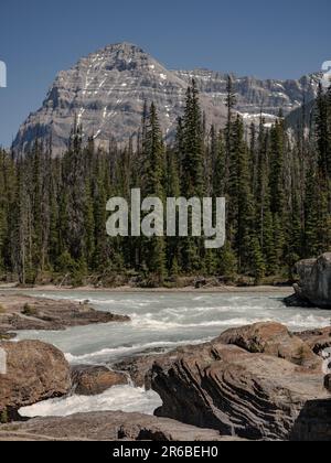 Der Kicking Horse River im Yoho-Nationalpark, British Columbia, Kanada. Stockfoto