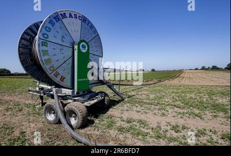 Rendsburg, Deutschland. 08. Juni 2023. Eine landwirtschaftliche Bewässerungsmaschine, die von einheimischen Kindern als „Rainbow Machine“ getauft wurde, bewässert ein Kartoffelfeld auf dem Anwesen Schirnau in der Nähe von Rendsburg. Aufgrund der anhaltenden Dürre müssen die Kartoffelfelder im Norden künstlich bewässert werden. Kredit: Axel Heimken/dpa/Alamy Live News Stockfoto