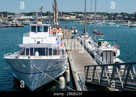 Tourenboote im Concarneau Hafen Brittany Frankreich. Wunderschöne Farben von weißen Booten auf dem blauen Meer. Der Charme kleiner Häfen, in denen uns handwerkliche Fischer bezaubern Stockfoto