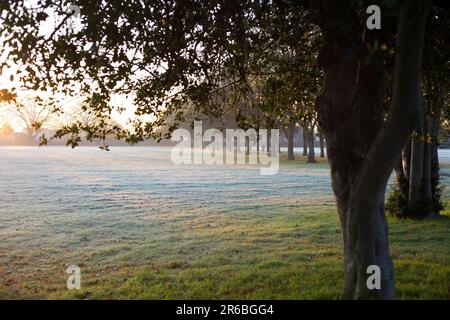 In Ilford im Osten Londons ist morgens ein Park mit Herbstfarbe teilweise frostig zu sehen. Stockfoto