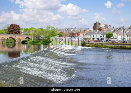 Dumfries Devorgilla Brücke und Wehr über den Fluss Nith fließt durch die schottische Stadt Dumfries Dumfries Dumfries und Galloway Scotland UK GB Europe Stockfoto