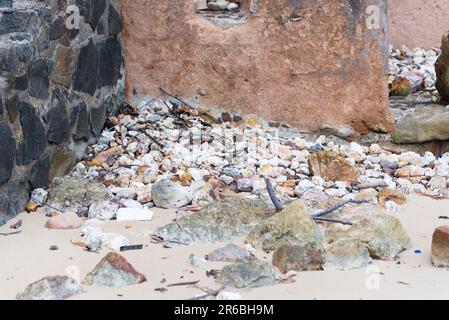 Felsen und Muscheln am Strand aus nächster Nähe gesehen. Morro de Sao Paulo, Brasilien. Stockfoto