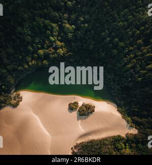 Luftaufnahme des Lake Wabby, umgeben von üppigem Regenwald und einer riesigen Sanddüne, Fraser Island, Queensland, Australien. Stockfoto