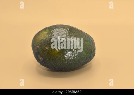 Eine frische Avocado in einem Einzelschuss. Stockfoto