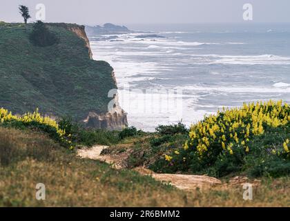Der Great Highway in südlicher Richtung von San Francisco bietet ein schönes Fahrerlebnis mit fantastischem Blick auf die Küste. Stockfoto