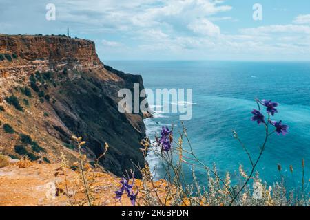 Lila Glocken oder andere Blumen auf dem Berg. Stockfoto