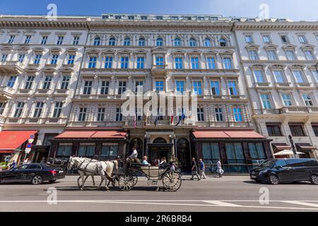 Eine Pferdekutsche auf den Straßen von Wien, Österreich Stockfoto