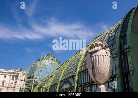 Das Palmenhaus im Burggarten, Wien, Osterreich Stockfoto