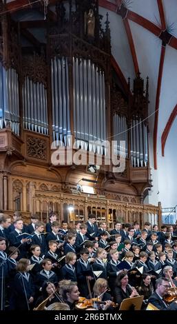 Leipzig, Deutschland. 08. Juni 2023. Das Gewandhaus Orchestra und das St. Thomas Boys Chor tritt bei der Eröffnung des Bach Festivals in St. Thomas-Kirche in Leipzig. Das Bach Festival Leipzig erinnert an Johann Sebastian Bachs Amtseinführung als Thomaskantor vor genau 300 Jahren. Ein Höhepunkt des Eröffnungskonzerns ist die Verleihung der Bach-Medaille an die St. Thomas Chor. Bis Juni 18 sind rund 160 Veranstaltungen im Programm, die dieses Jahr das Motto „Bach für die Zukunft“ tragen. Kredit: Hendrik Schmidt/dpa/Alamy Live News Stockfoto