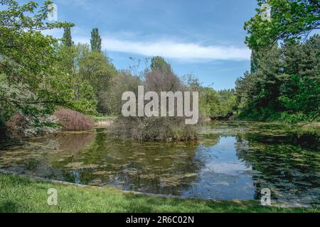 wien, österreich. 8. Mai 2023 beleuchtete Schatten im Nachmittagslicht im wasserpark floridsdorf Stockfoto