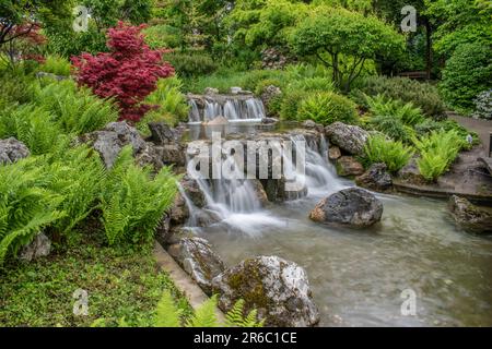 wien, österreich. 13. Mai 2023 bezaubernde Ruhe faszinierender Landschaftspark im japanischen Stil mit einem majestätischen Wasserfall, der von einer Steinmauer fällt, Gentlemen Stockfoto