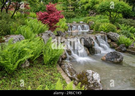 wien, österreich. 13. Mai 2023 bezaubernde Ruhe faszinierender Landschaftspark im japanischen Stil mit einem majestätischen Wasserfall, der von einer Steinmauer fällt, Gentlemen Stockfoto