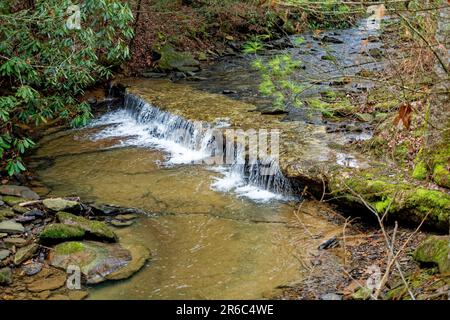 Ein Bach mit einem kleinen, kaskadierenden Wasserfall mit spritzendem Wasser, das flussabwärts durch die Nahaufnahme des Waldes fließt Stockfoto