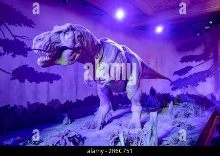 London, Großbritannien - Mai 2023: A Roaring Animatronic Model of Tyrannosaurus Rex Dinosaur at Natural History Museum of London, Großbritannien Stockfoto