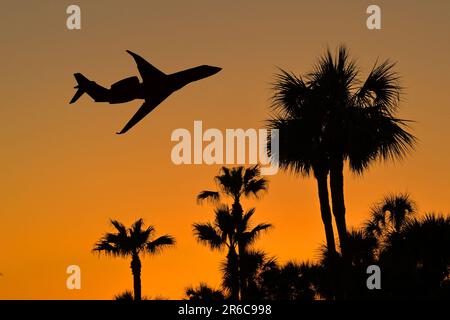 Silhouette eines privaten Executive Jet, der bei Sonnenuntergang über Palmen abhebt. Keine Menschen. Reisekonzept Stockfoto