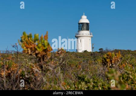 Cape Naturaliste Lighthouse im Südwesten von Westaustralien, hoher zylindrischer weißer Turm mit Fresnel-Linse, erbaut aus Kalkstein, der aus dem Jahr n stammt Stockfoto