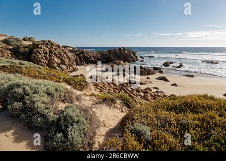 Cape Naturaliste Landzunge im Südwesten Westaustraliens an der Geographe Bay, dem nördlichsten Punkt der Leeuwin-Naturaliste Ride Stockfoto