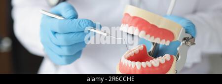 Zahnarzt zeigt Problembereiche in den Zähnen am Kiefermodell Stockfoto