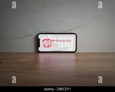 Konskie, Polen - 08. Juni 2023: Chinesisches E-Commerce-Firmenlogo von Pinduoduo auf dem Bildschirm des Mobiltelefons Stockfoto