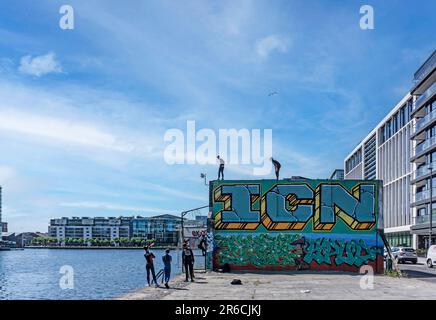 Junge Leute, die ins Grand Canal Dock in Dublin, Irland, tauchen wollen. Stockfoto