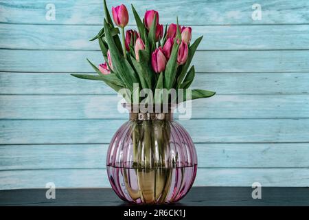Schöne Frühlingsdekoration. Rosafarbene Tulpen in Glasvase. Frische Tulpenblumen vor der blauen Wand. Blick mit Kopierbereich. Grußkarte. Woma Stockfoto