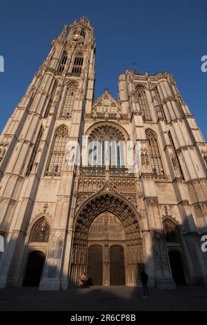 Die Kathedrale unserer Lieben Frau Antwerpen, Belgien Stockfoto