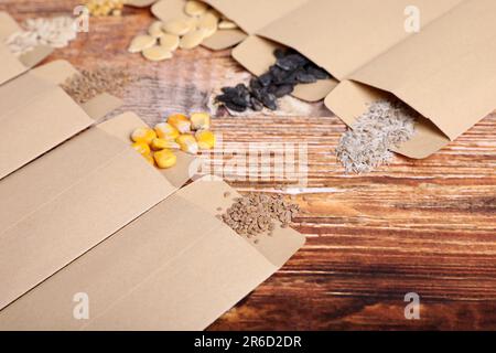 Viele verschiedene Gemüsesamen auf einem Holztisch Stockfoto