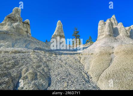 Erodierte Vulkanasche- und Tertiärsedimente im geologischen Gebiet der weißen Erde bei winston, montana Stockfoto