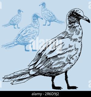 Handgezeichnetes Bild einer Möwe. Stock Vektor