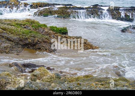 Felsen, Gezeitentümpel am Meer Stockfoto