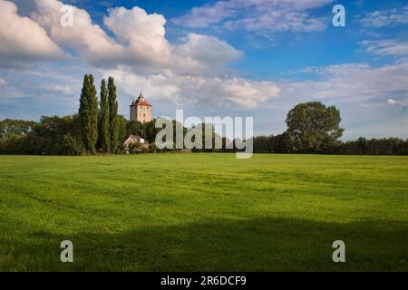 Grünfeld und alter Turm Stockfoto