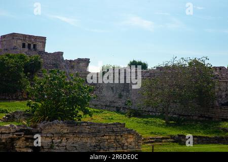 Tulum Ruinen in Mexiko ohne Leute, die herumlaufen Stockfoto