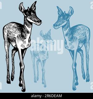 Handgezeichnete Skizze einer Antilope. Stock Vektor