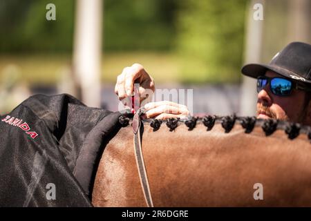 Momente im thunderbird Show Park Stockfoto