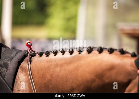 Momente im thunderbird Show Park Stockfoto