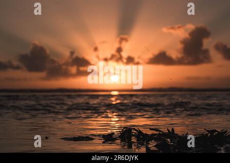 Wunderschöner goldener Sonnenuntergang am Strand im Seengebiet Stockfoto